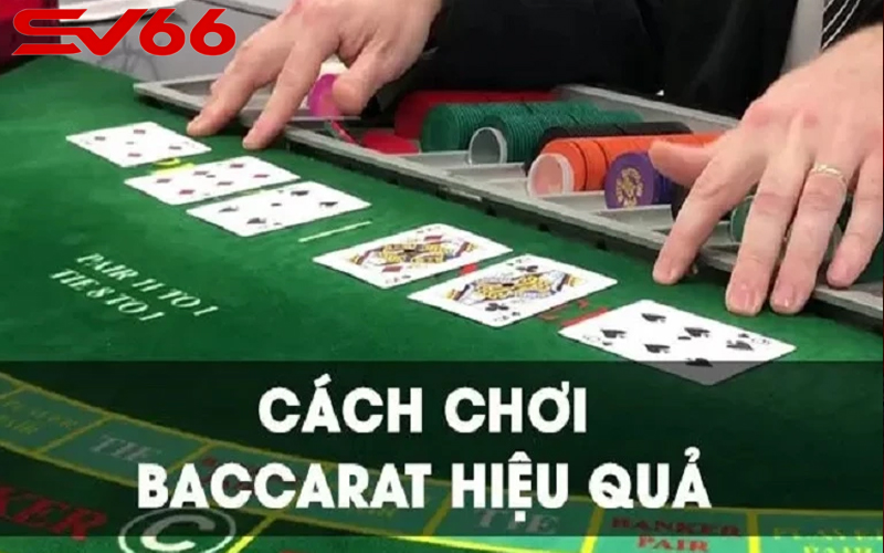 Cách thực hiện chơi Baccarat tại SV66 dễ dàng